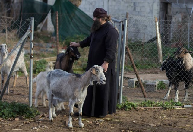 2015metdemetriusjan071